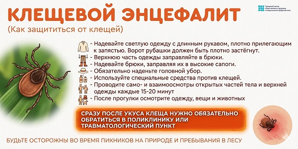 Как защититься от клещей
