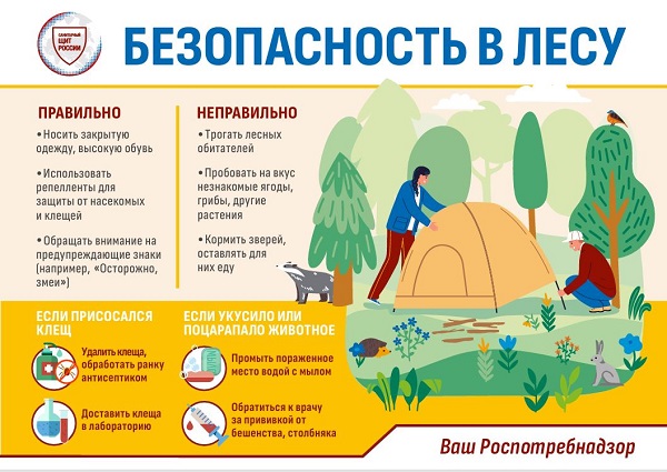 Безопасность в лесу. Как предотвратить нападение клеща