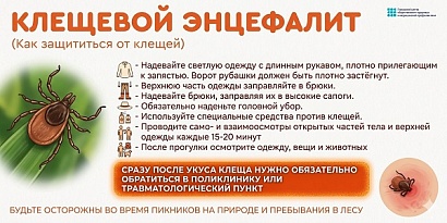 Как защититься от клещей