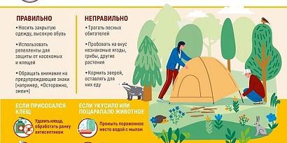 Безопасность в лесу. Как предотвратить нападение клеща