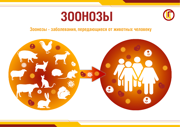 Восточный филиал ФБУЗ «Центр гигиены и эпидемиологии в г. Санкт-Петербург и Ленинградской области» информирует