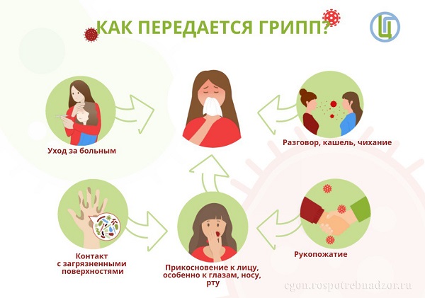 Восточный филиал ФБУЗ «Центр гигиены и эпидемиологии в г. Санкт-Петербург и Ленинградской области» информирует