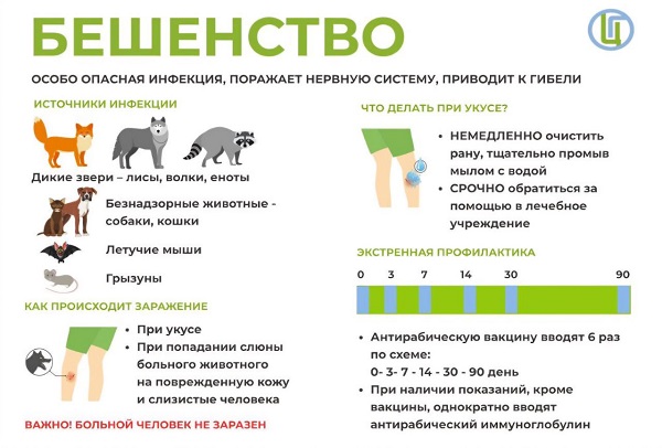 Восточный филиал ФБУЗ «Центр гигиены и эпидемиологии в г. Санкт-Петербург и Ленинградской области» информирует