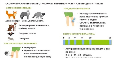 Восточный филиал ФБУЗ «Центр гигиены и эпидемиологии в г. Санкт-Петербург и Ленинградской области» информирует